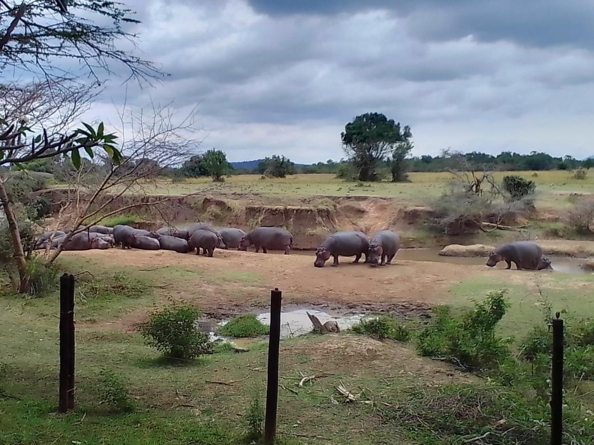 Mara River Lodge Aitong 외부 사진