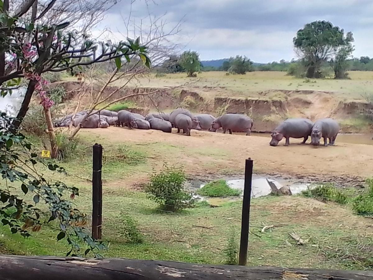 Mara River Lodge Aitong 외부 사진